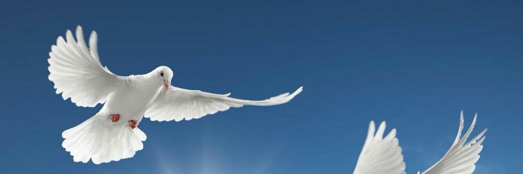 Aqaleem1's profile banner image