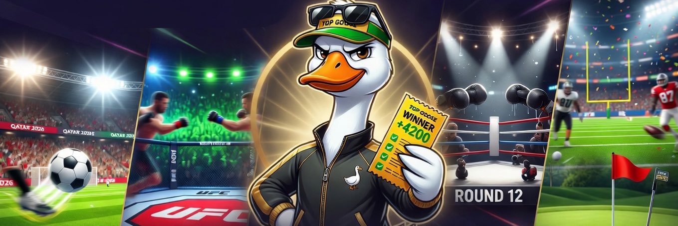 ɢᴏᴏꜱᴇ🪿 banner