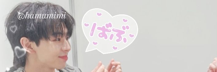 たーたん(｡･･｡) banner