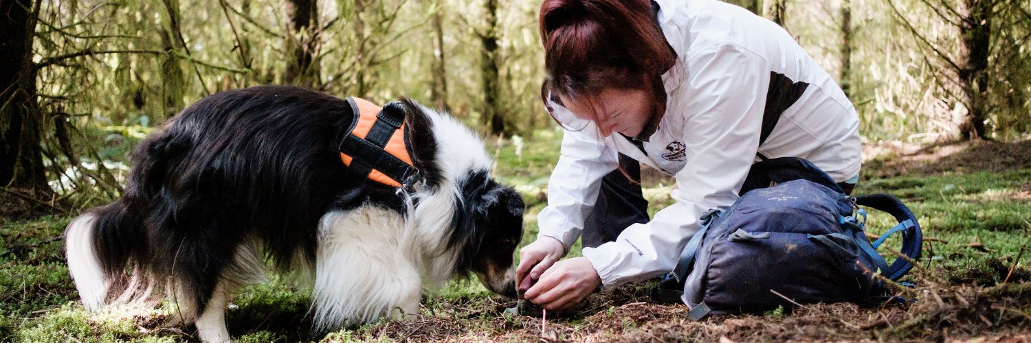 TruffleDogBlog's profile banner image