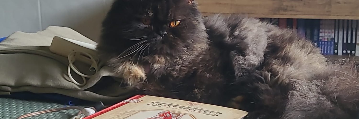 MateusH133's profile banner image