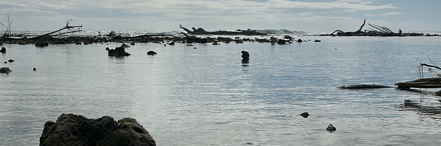 Fernanda Bodden banner