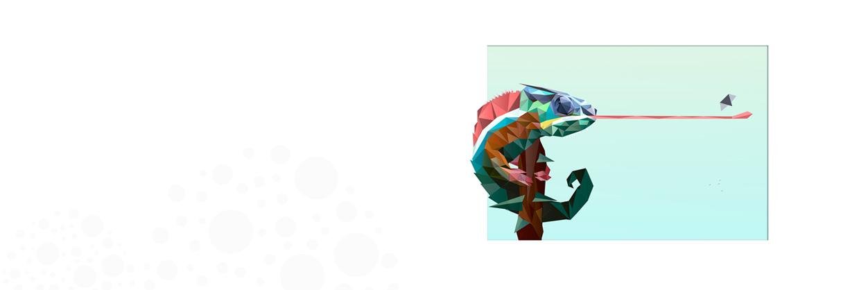 pigmento's profile banner image