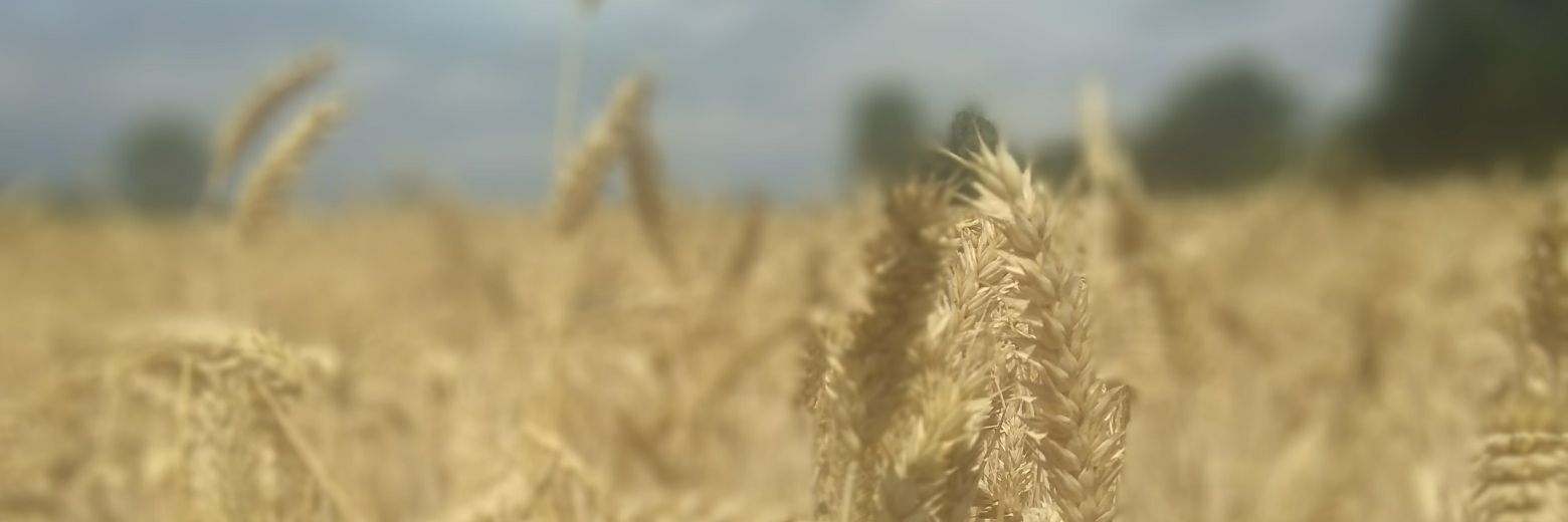LoutBarBzz's profile banner image