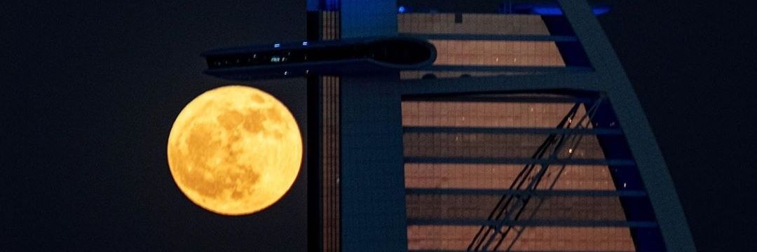 O_lamii's profile banner image