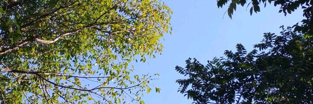 Anaamarques22's profile banner image