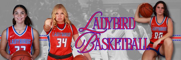 ssladybirds Profile Banner