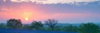 AnneYe13's profile banner image
