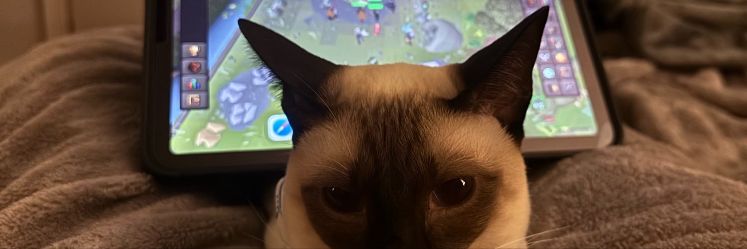 DeAndrePLZ's profile banner image