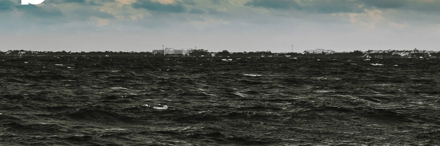 Peter_Mudde's profile banner image