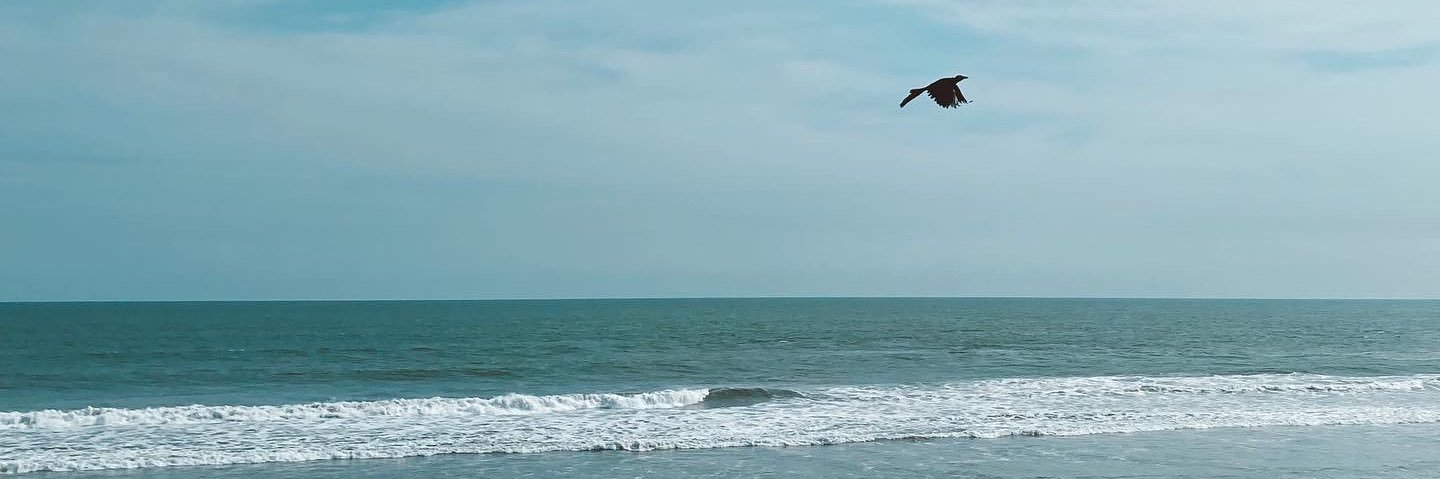 Lucía banner