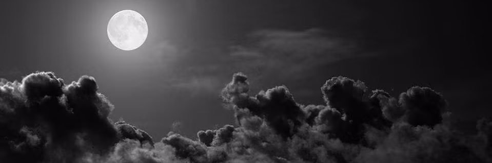 phx_lou's profile banner image