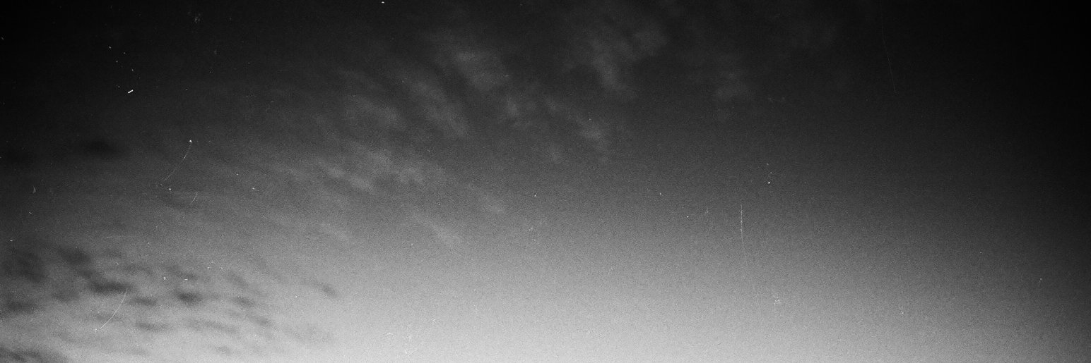 velouria virus 𓏣🇵🇸🇱🇧 banner