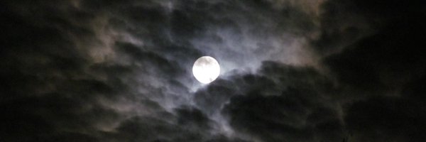 Plujj2k Profile Banner