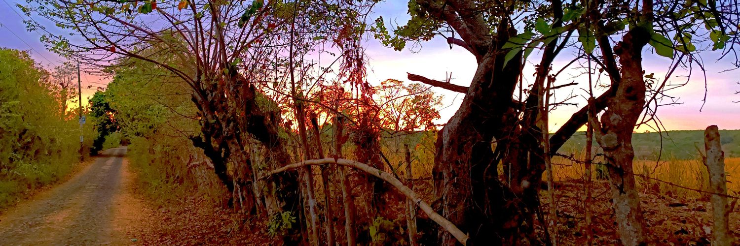 dmonteblack's profile banner image