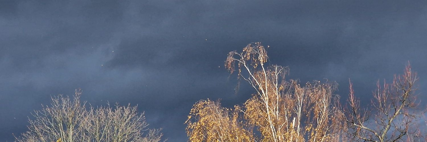 n27315's profile banner image
