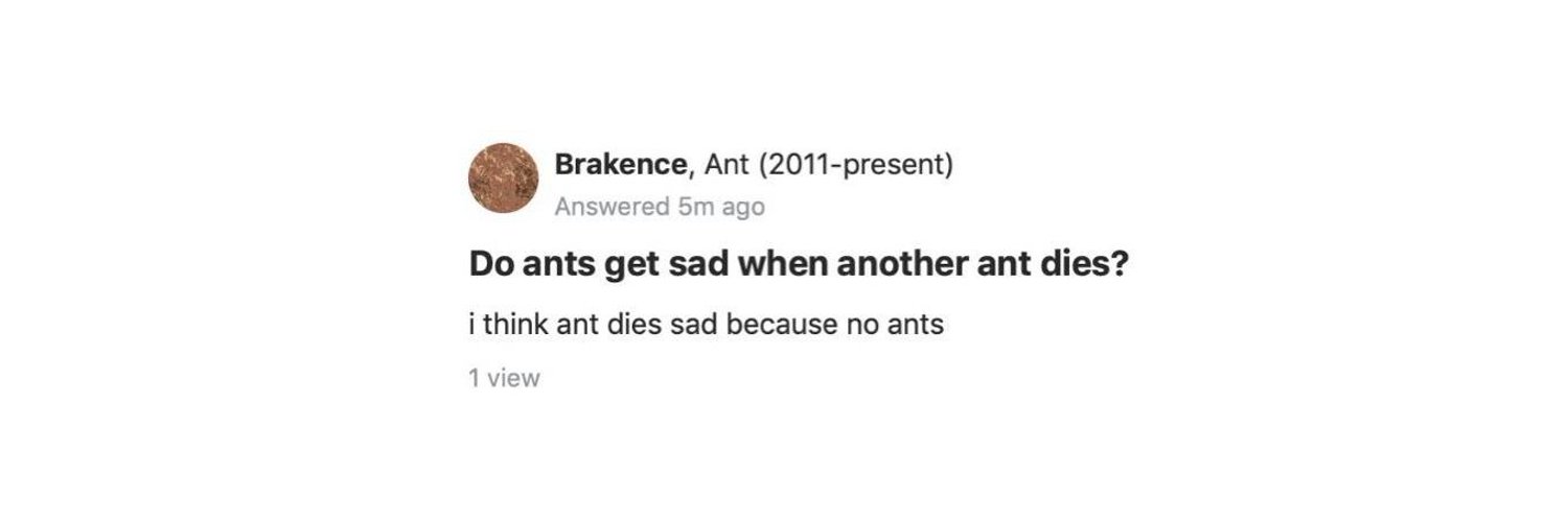 ant banner