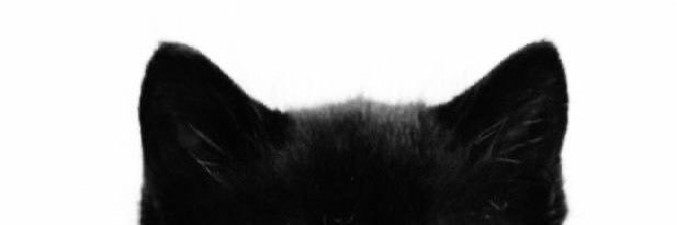 violetnkitty's profile banner image