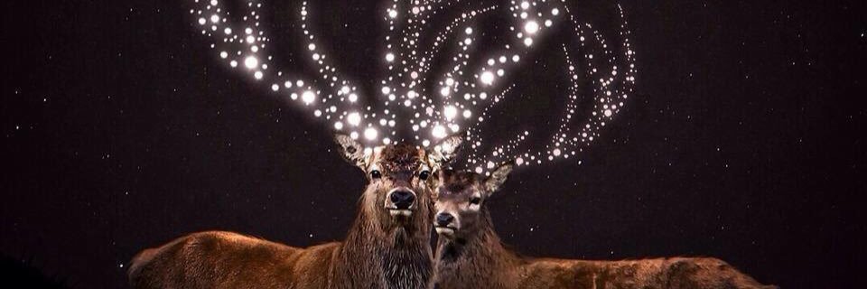 amanaaadaaa's profile banner image
