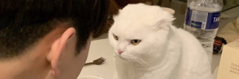 SeriousMutita's profile banner image