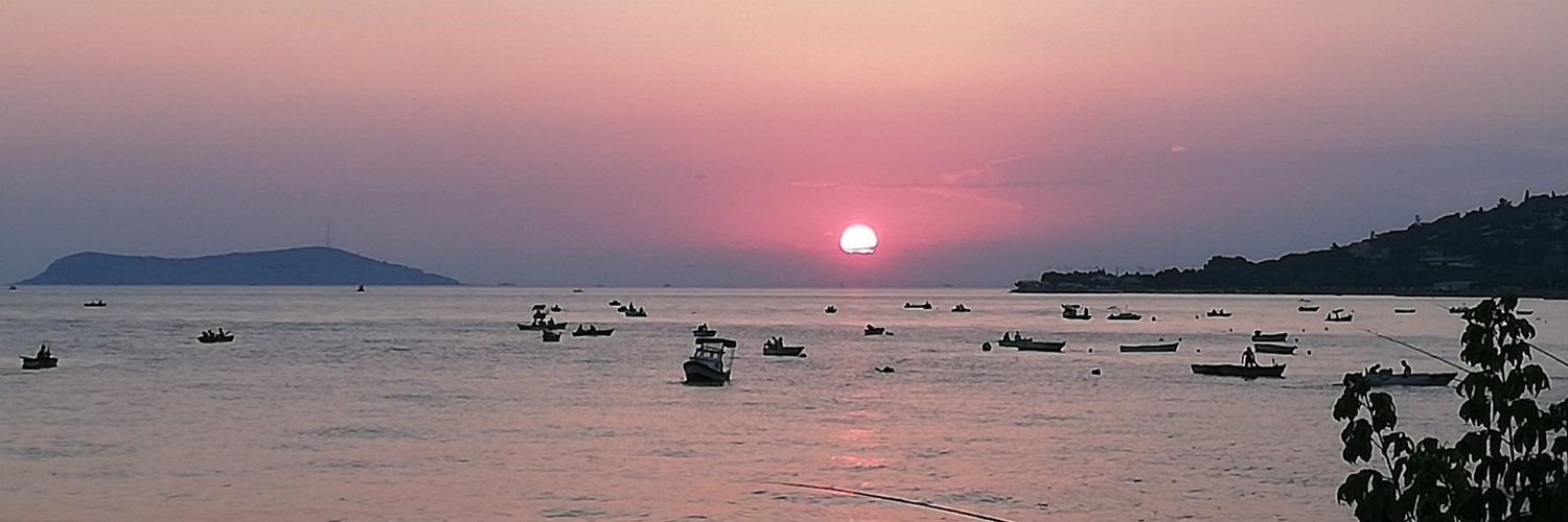 plndmrby's profile banner image