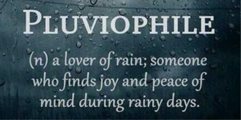 Donny Kurniawan banner