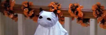 dri_el_'s profile banner image