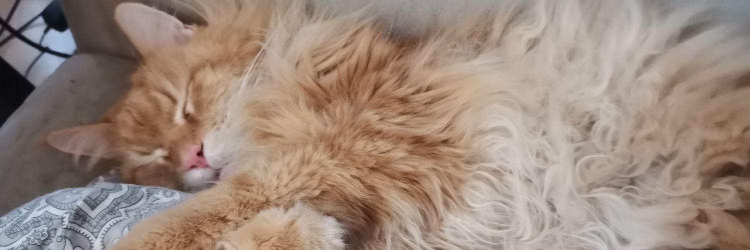 Emjoot's profile banner image