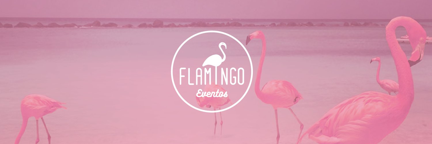 FlamingoEventos's profile banner image