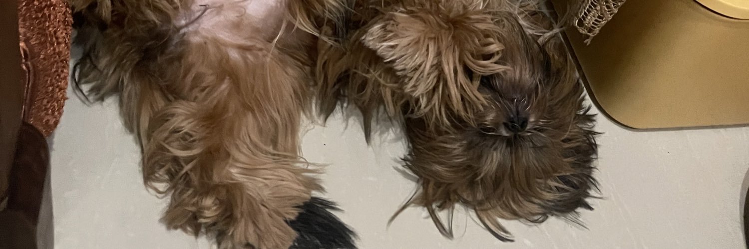 desymrry's profile banner image