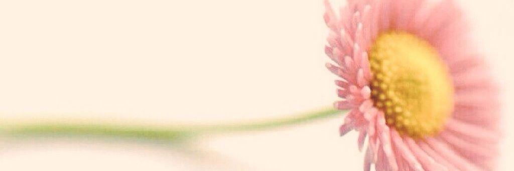 شهد الحروف banner