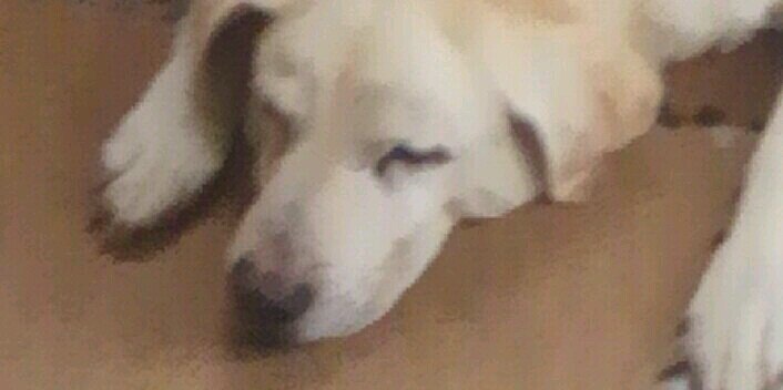 saoringo69_7's profile banner image