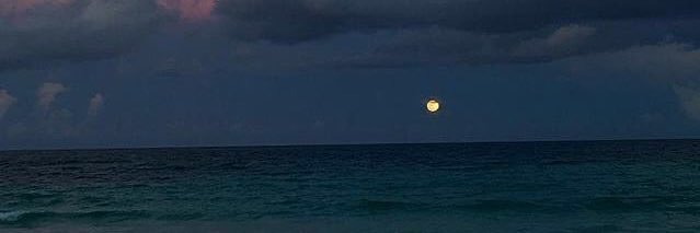 f_gv21's profile banner image