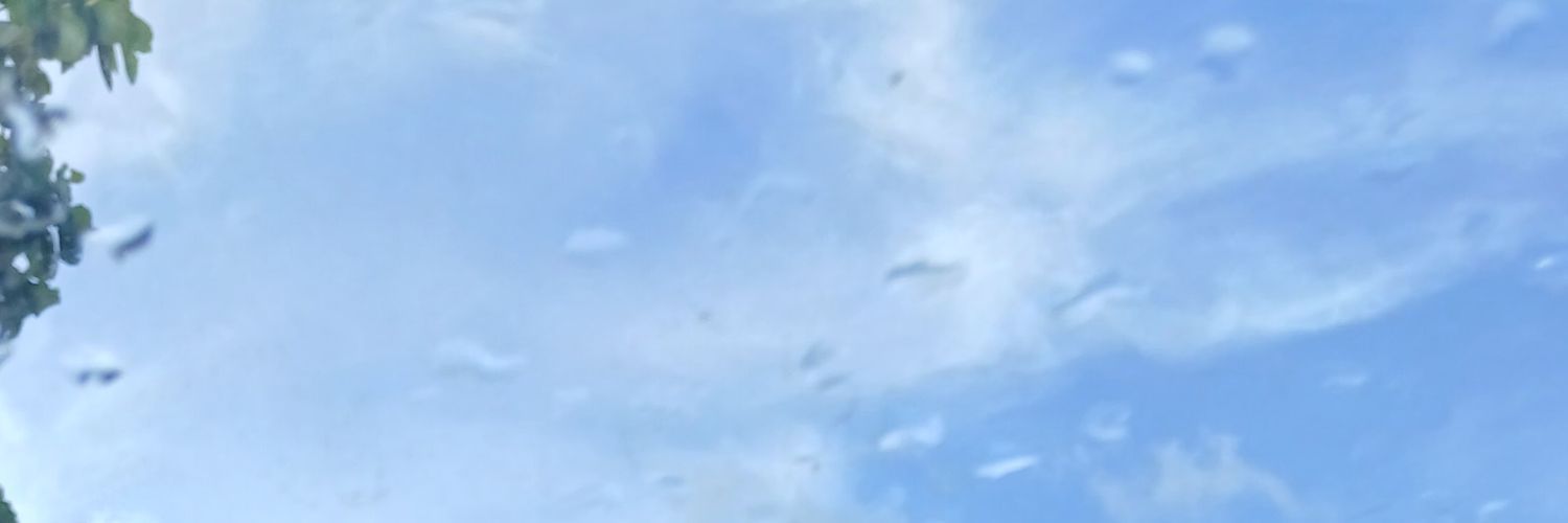 Erichchann's profile banner image