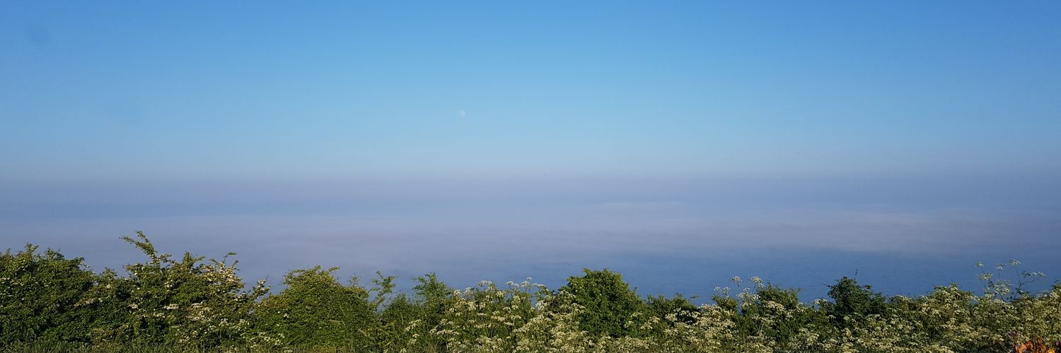 DaveBirchy's profile banner image