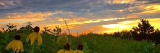 Ginnie's profile banner image