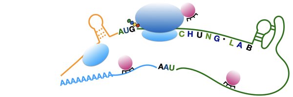 TranslatingRNA Profile Banner
