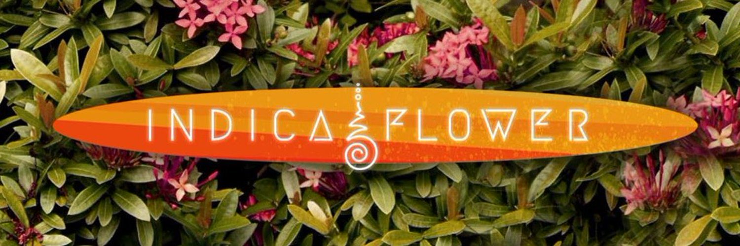 Indica Flower 🤍✨ Profile Banner