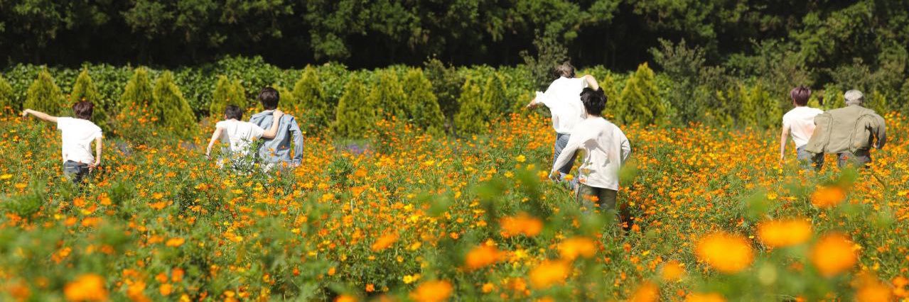 daisy 🍋 en 7 banner