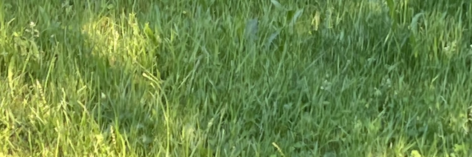 SupergrinM's profile banner image