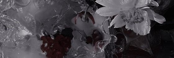 xAlizee39's profile banner image