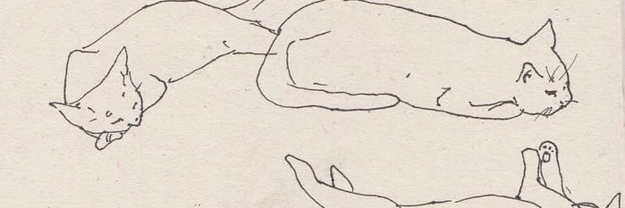 asiiiiul's profile banner image