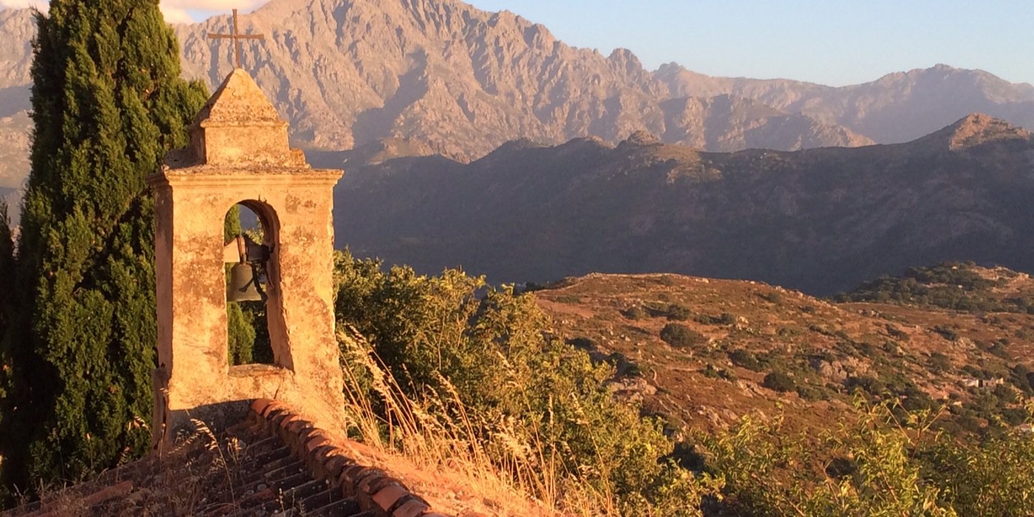 Andrew Stevens banner