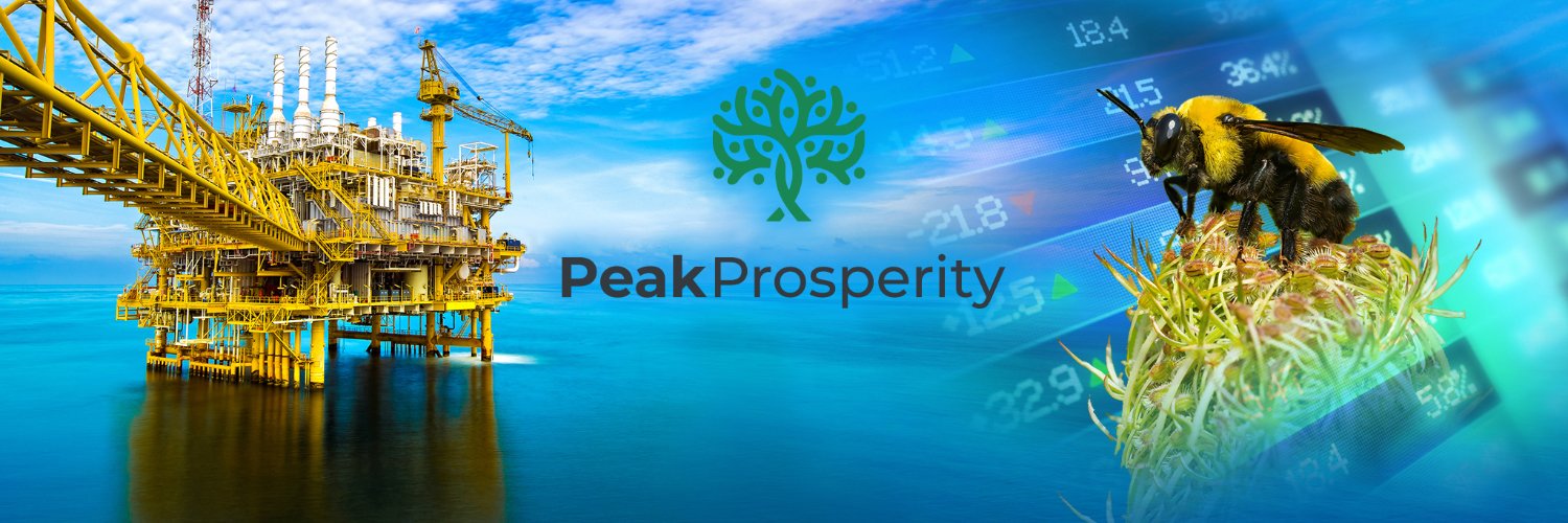 Peak Prosperity banner
