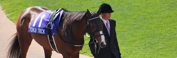 penguin66 Profile Banner