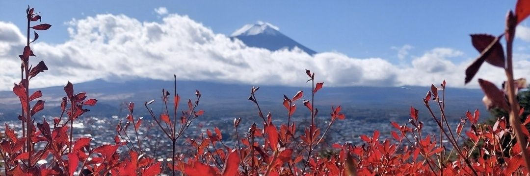 nightdego's profile banner image
