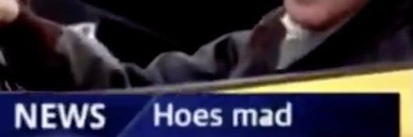 brain_birdy Profile Banner