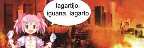 Mitz_HTFXD Profile Banner