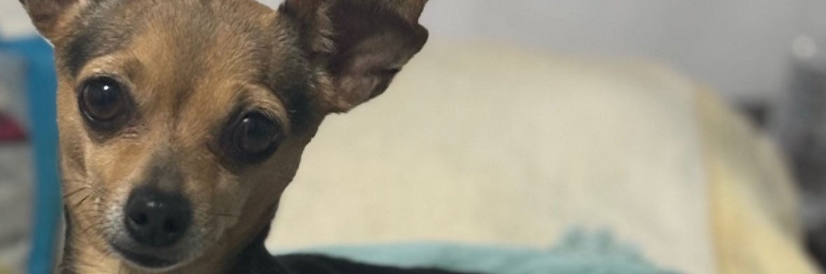 IsCh_280's profile banner image