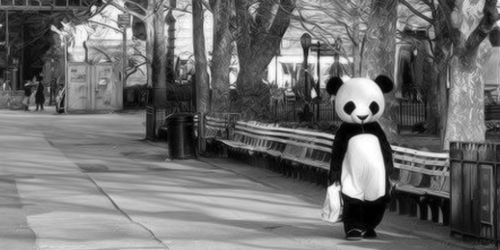 kobalakpanda's profile banner image